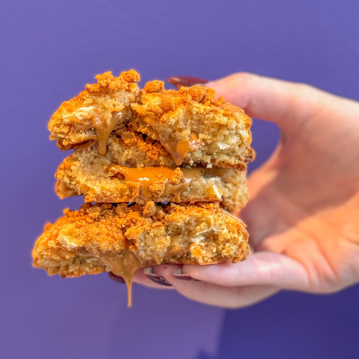 Speculoos Biscoff Cookie
