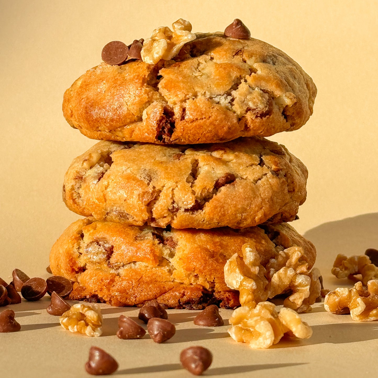 Chocolate Chip Walnut